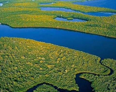 Everglades Eco-Tour and Airboat Adventure