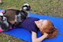 Goat Yoga and Mimosas in Katy