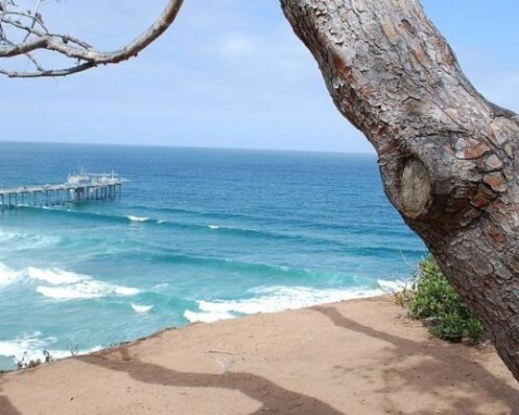 San Diego Running Tour of La Jolla