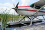 Gator Spotting Seaplane Tour of Orlando