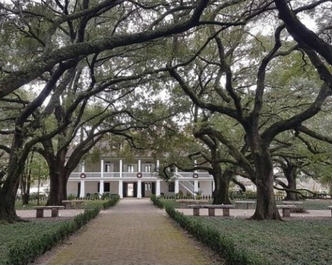 Whitney Plantation Tour in New Orleans