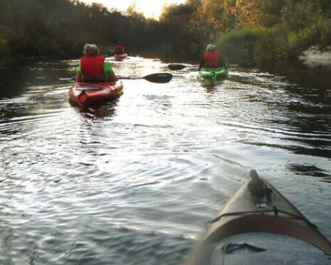 Cocoa Beach Manatee and Dolphin Kayaking