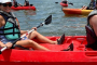 Cocoa Beach Manatee and Dolphin Kayaking