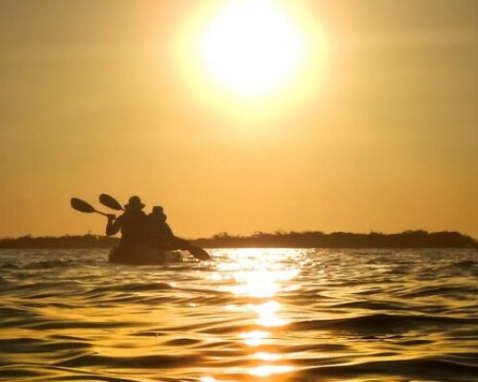 Indian River Sunset Bioluminescence Tour