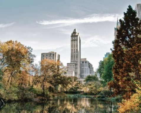 Met and Central Park Tour