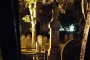 City of The Dead Ghost Tour Of Charleston