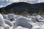 Rocky Mountain National Park Hiking Tour