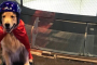 Oceanside Indoor Skydiving Experience