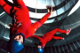 Gaithersburg Indoor Skydiving Experience