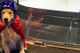 Scottsdale Indoor Skydiving Experience