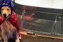 Portland Indoor Skydiving Experience