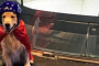 San Diego Indoor Skydiving Experience