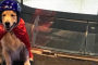 Houston Memorial Indoor Skydiving Experience