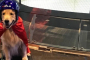 Naperville Indoor Skydiving Experience