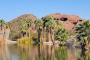 Phoenix Guided Yoga At Papago Park