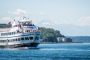 Scenic Seattle Harbor Cruise