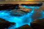 Indian River Bioluminescence Kayak Or SUP Tour