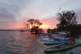 Indian River Bioluminescence Kayak Or SUP Tour