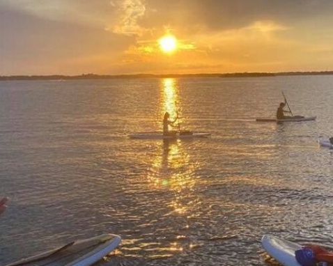 Wildlife Kayaking Or SUP