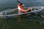 Titusville Dolphin And Manatee Kayak Or SUP Tour