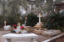 Bonaventure Cemetery Tour