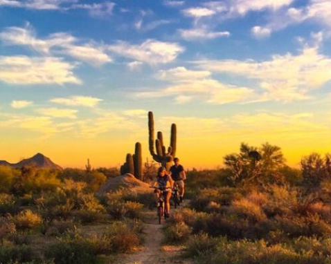 Scottsdale Off-Road Electric Bike Tour