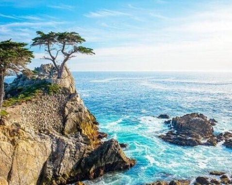 Monterey Scenic 17-Mile Drive Exploration