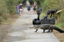 Myrtle Beach Segway Wildlife and Nature Tour