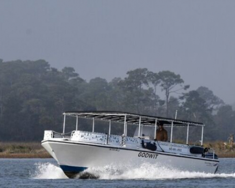 Beaufort Dolphin and History Boat Tour