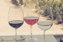 Temecula Wine Tasting and Artisan Cheese Tour