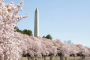 Washington DC Guided Bus and Walking Tour