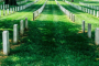 Arlington National Cemetery Guided Walking Tour