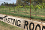 San Antonio Hill Country Wine Tour