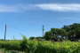 San Antonio Hill Country Wine Tour