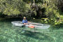 Silver Springs Wildlife Kayaking Adventure Experience