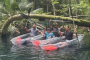 Silver Springs Wildlife Kayaking Adventure Experience