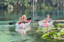 Silver Springs Wildlife Kayaking Adventure Experience