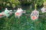 Silver Springs Wildlife Kayaking Adventure Experience