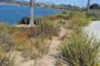 Mission Bay Scenic Bike Tour Experience