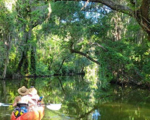 Tavares Scenic Tandem Kayak Adventure