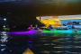 Tampa Nighttime Glowing Kayak Adventure