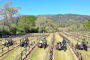 Yountville Sidecar Wine Tasting Adventure