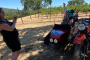 Yountville Sidecar Wine Tasting Adventure