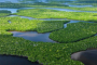 Everglades City Mangrove Wilderness Boat Tour