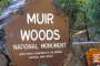 San Francisco Muir Woods Cycling Adventure