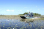 Miami Everglades Airboat and Little Havana Tour