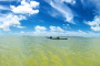 Florida Keys Marine Ecosystem Adventure Tour