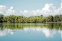 Islamorada Scenic Nature and Dining Tour