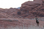 Mojave Desert Valley of Fire Adventure