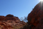 Mojave Desert Valley of Fire Adventure